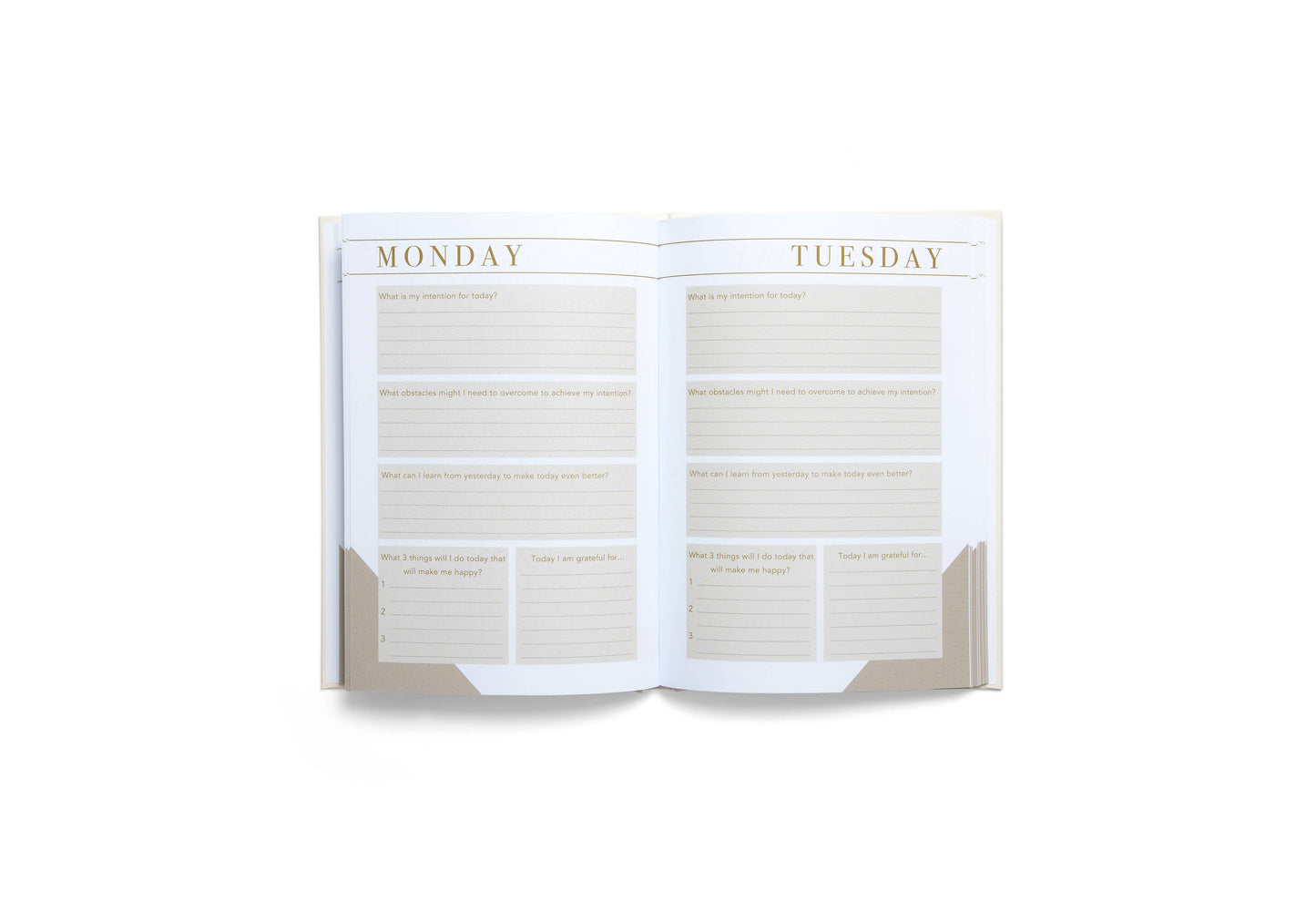 Morning Notes: Wellbeing Journal |
