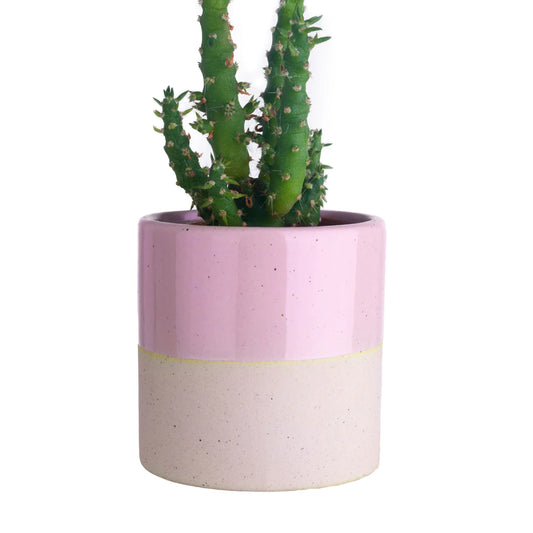 Pink Dipped Mini Plant Pot- 9 in stock