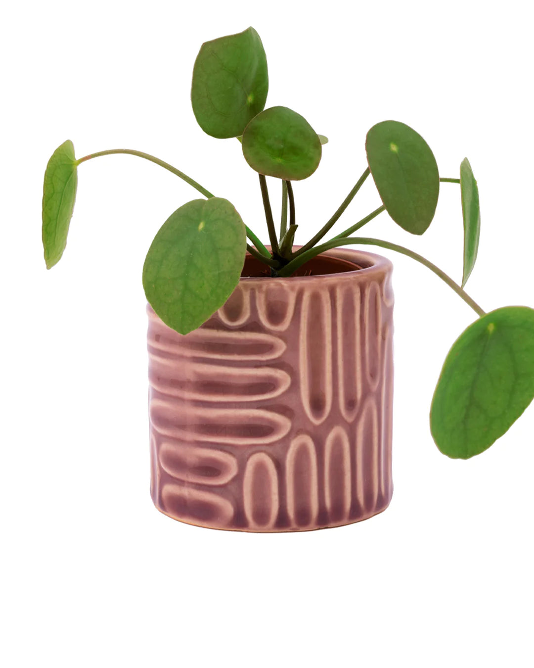 Pink Indented Plant Pot