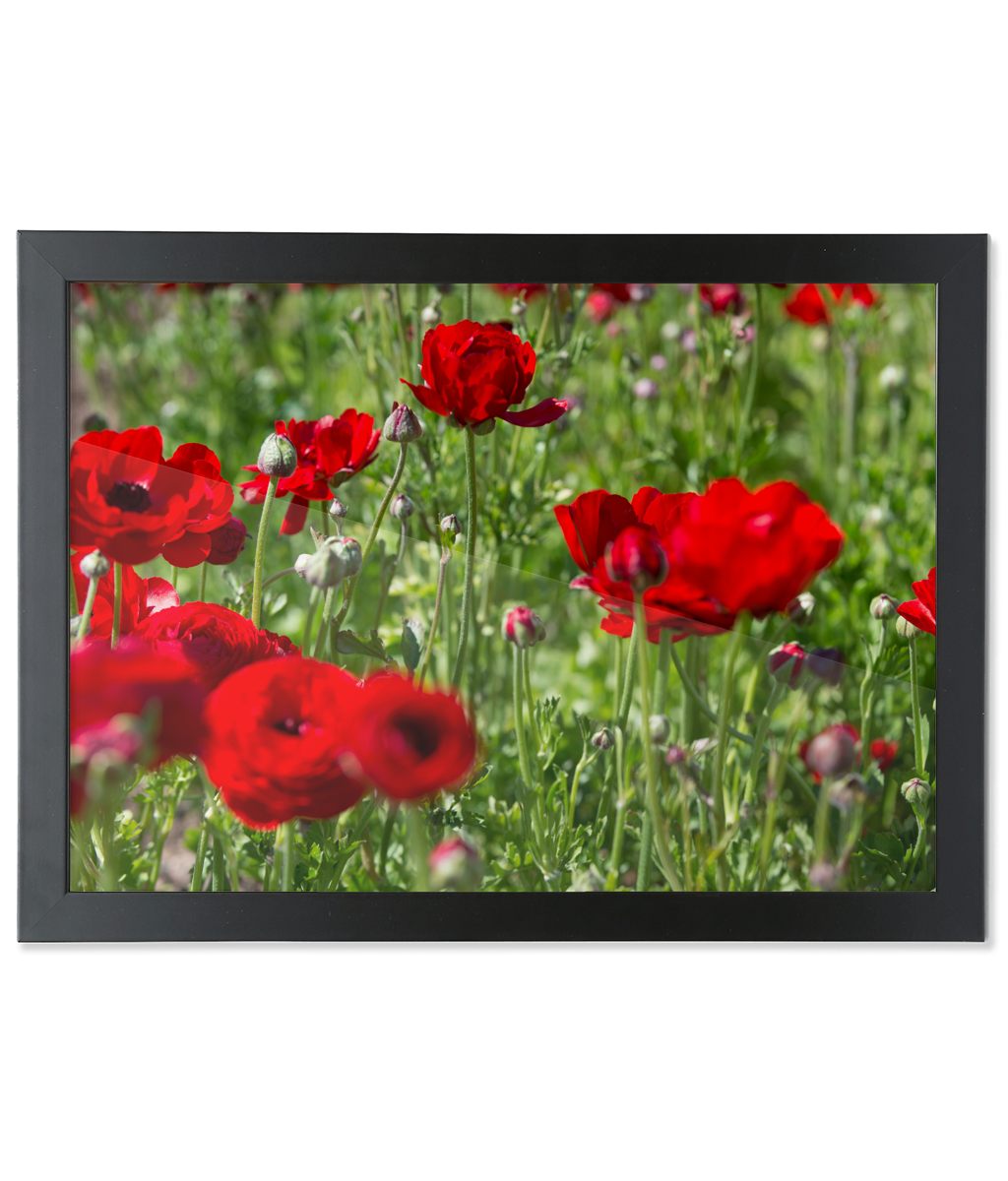 Framed A2 Fine Art Print - Landscape/Black Fine Art Poppies