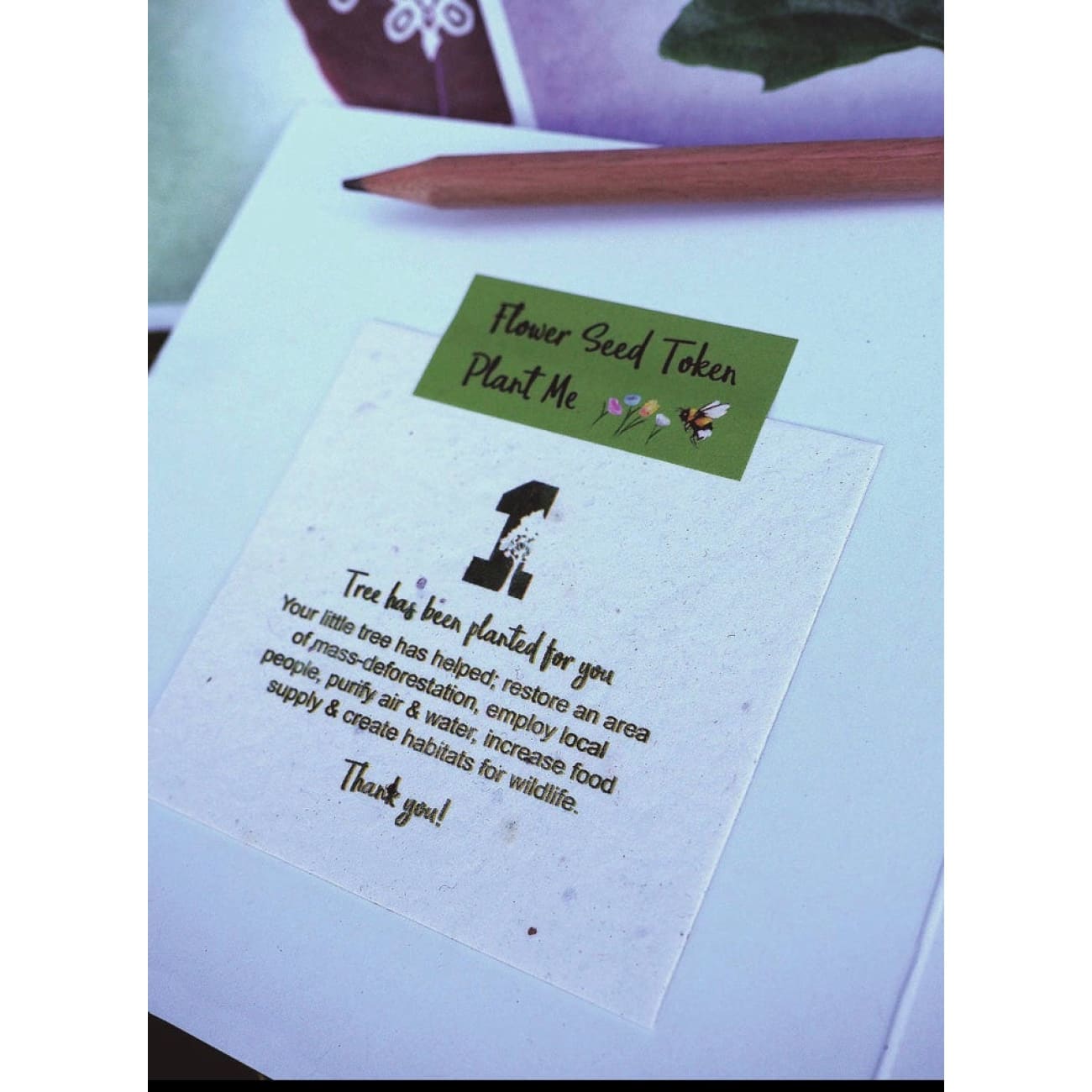 Rock Chocs  Cat Card. Feel Good Motovational. Seed & Tree Gift. Pawsome Rock Chocs  1treecards anniversary cards cards eco birthday cards eco greeting cards eco greetings cards good luck cards Greeting cards vegan greeting cards vegan printed greeting cards