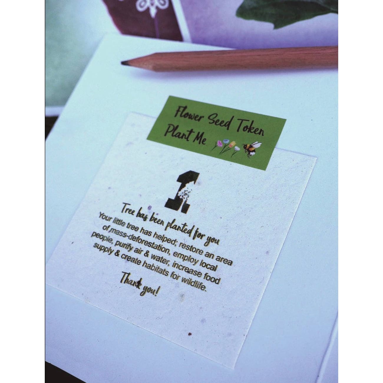 Rock Chocs  Good Luck, Eco Friendly Seed Card Gift. Rooting For You. Rock Chocs  Cards eco greeting cards good luck cards Greeting cards Vegan greeting card vegan greeting cards