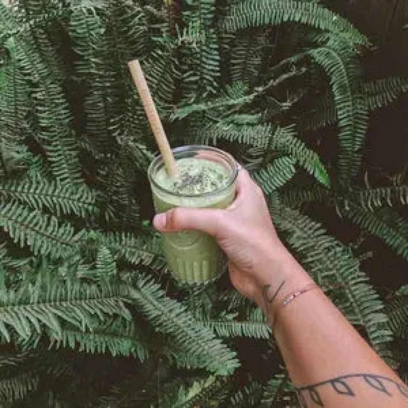 Rock Chocs  Jungle Straws: Reusable Bamboo Drinking Straws with Natural Hessian Carry Case (Set of 12) Jungle Culture