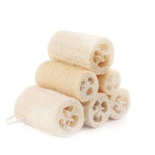Rock Chocs  Natural Loofah | Organic Exfoliating Sponge Jungle Culture