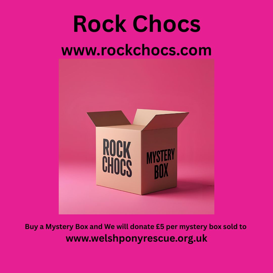 Mystery Box £35.00 for every mystery box sold we will donate £5 to https://www.welshponyrescue.org.uk