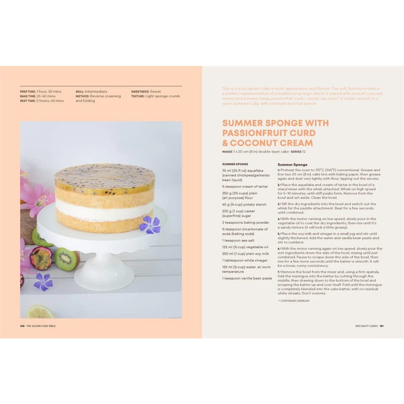 Rock Chocs The Vegan Cake Bible Book The Vegan Cake Bible Book by Sara Kidd Best vegan cookery books Best vegan cookery books for beginners Cake recipe book plant based cookery books Sara Kidd The Vegan cake bible The Vegan Cake Bible by Sara Kidd
