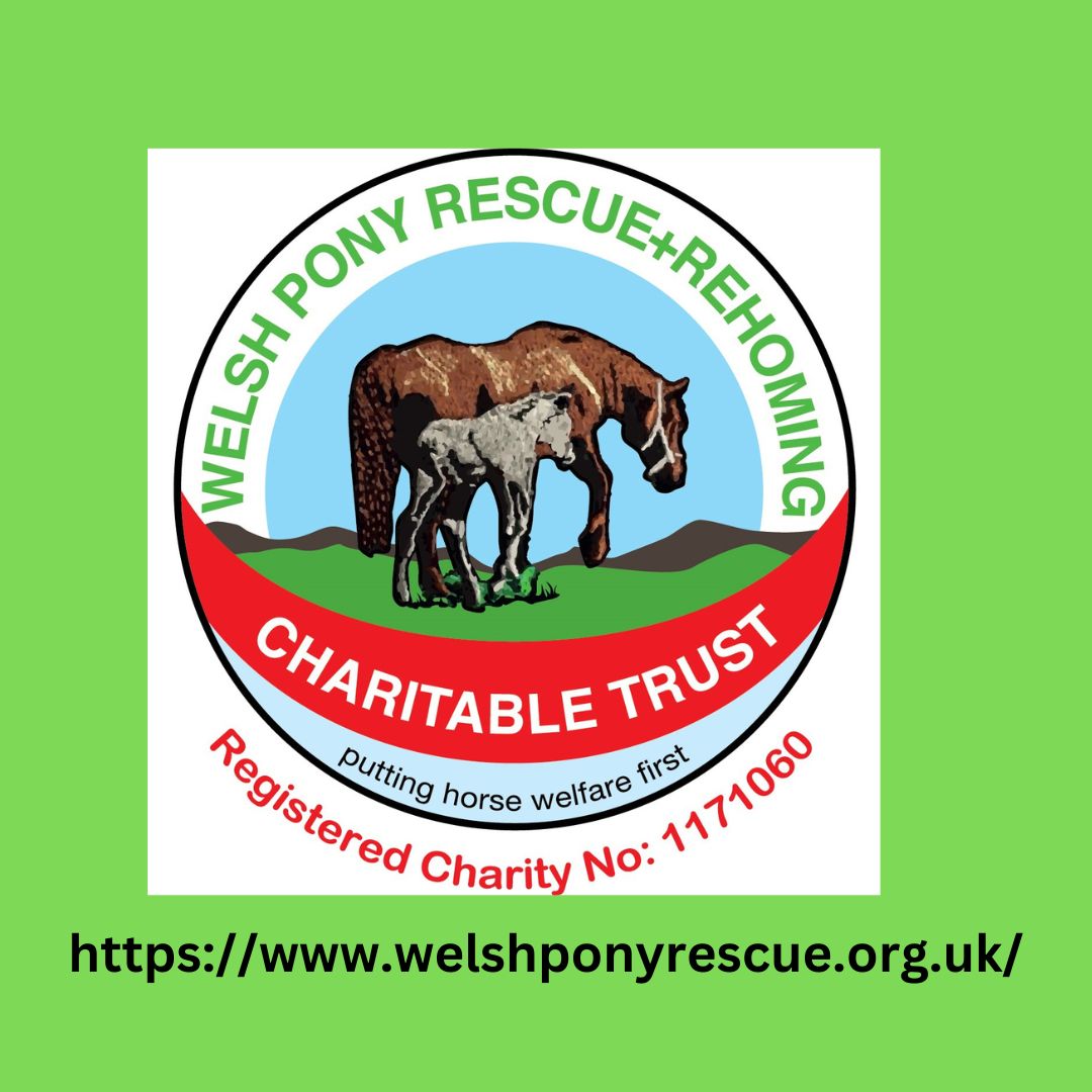Welsh Pony Rescue and Re-homing charitable trust