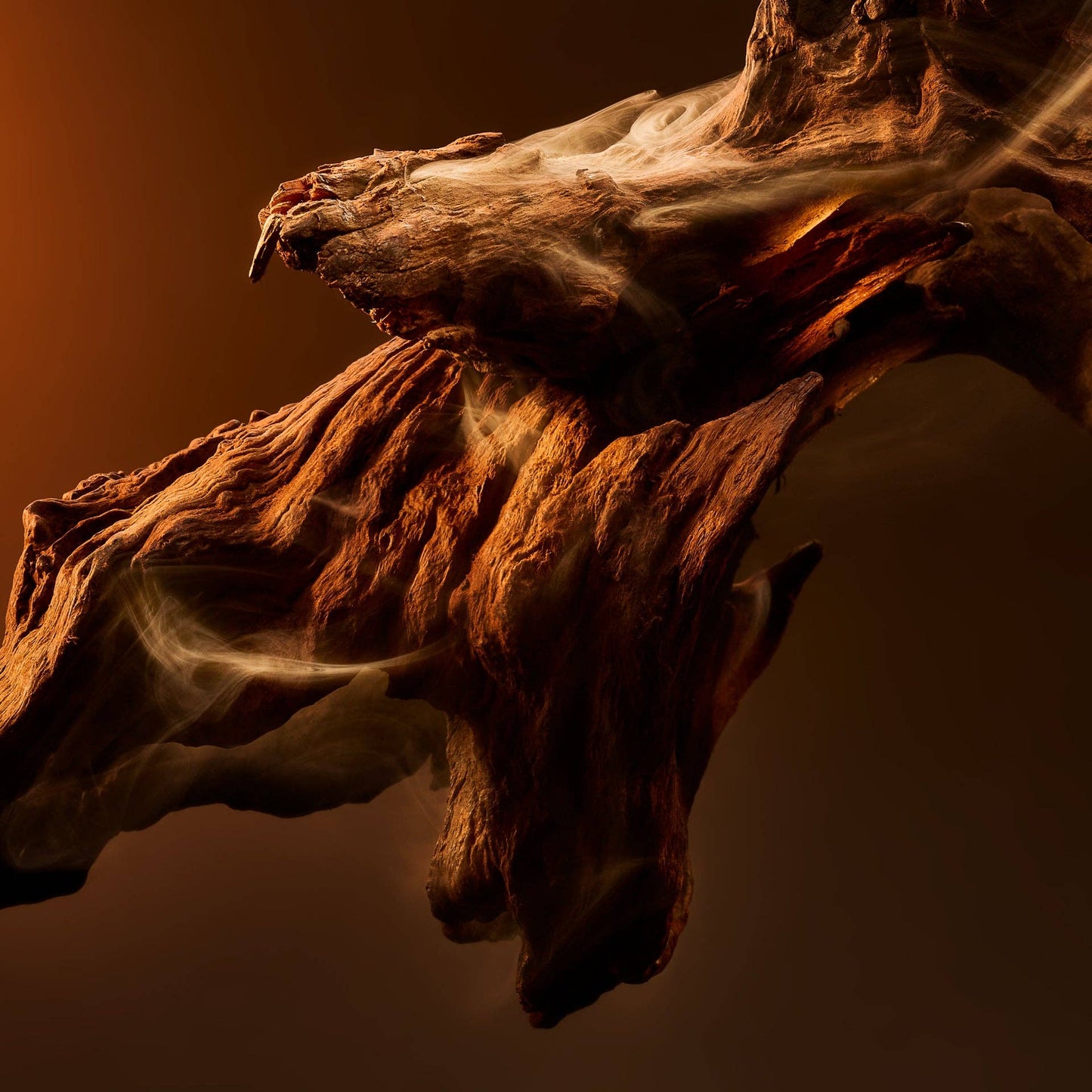 Oud Wood Shower Gel, 500ml, Gift for Him
