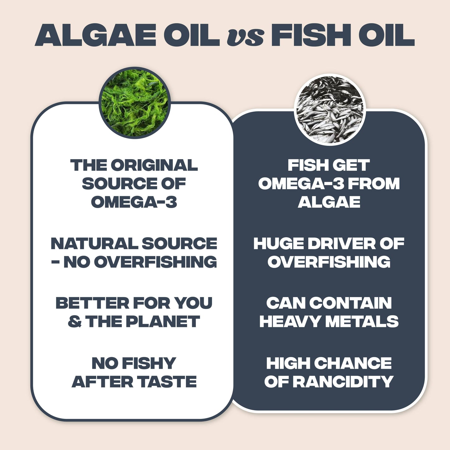 Vegan Omega-3 Gummies (Algae DHA & EPA) | Brain + Immunity