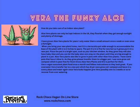 Vera The Funky Aloe