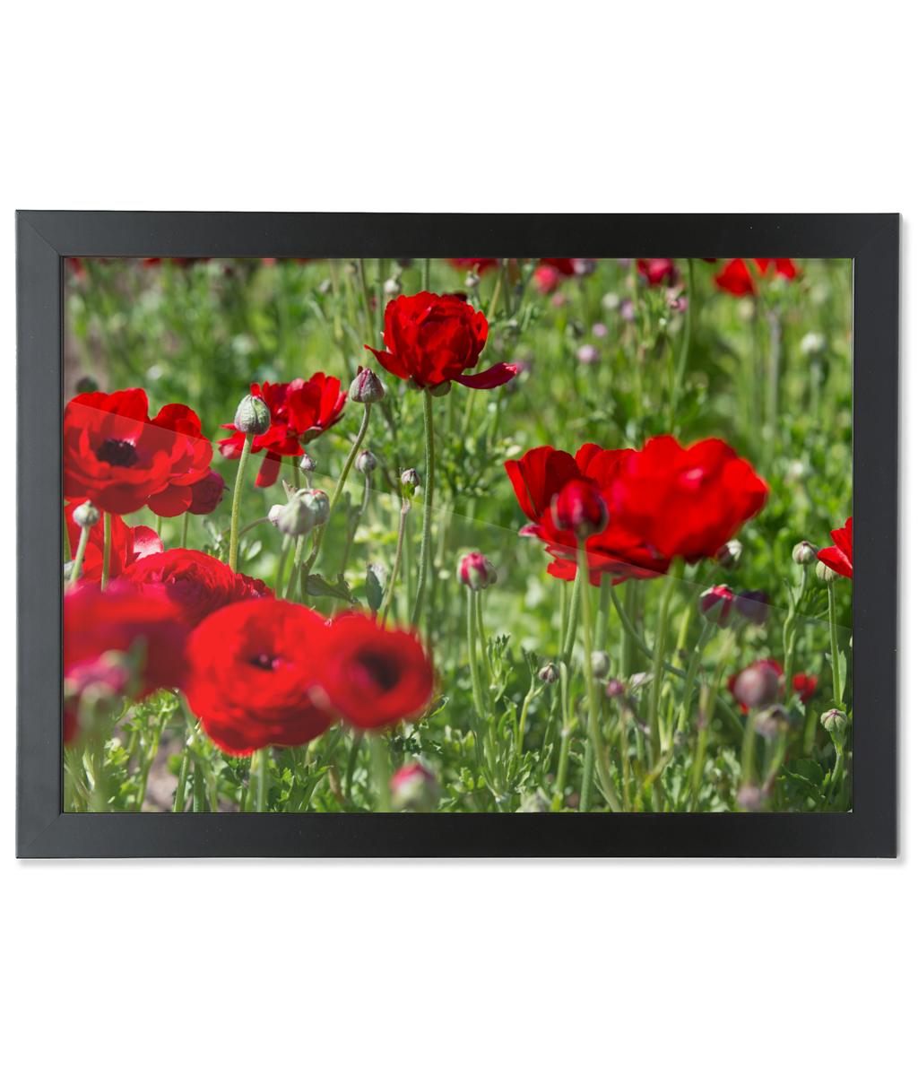 Framed A2 Fine Art Print - Landscape/Black  Fine Art  Poppies