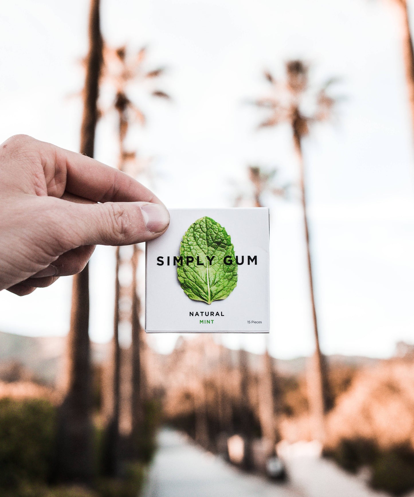 Peppermint Chewing Gum - Natural + Plastic free arriving soon