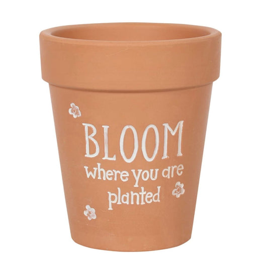 BLOOM WHERE YOU ARE PLANTED TERRACOTTA PLANT POT - BLOOM
