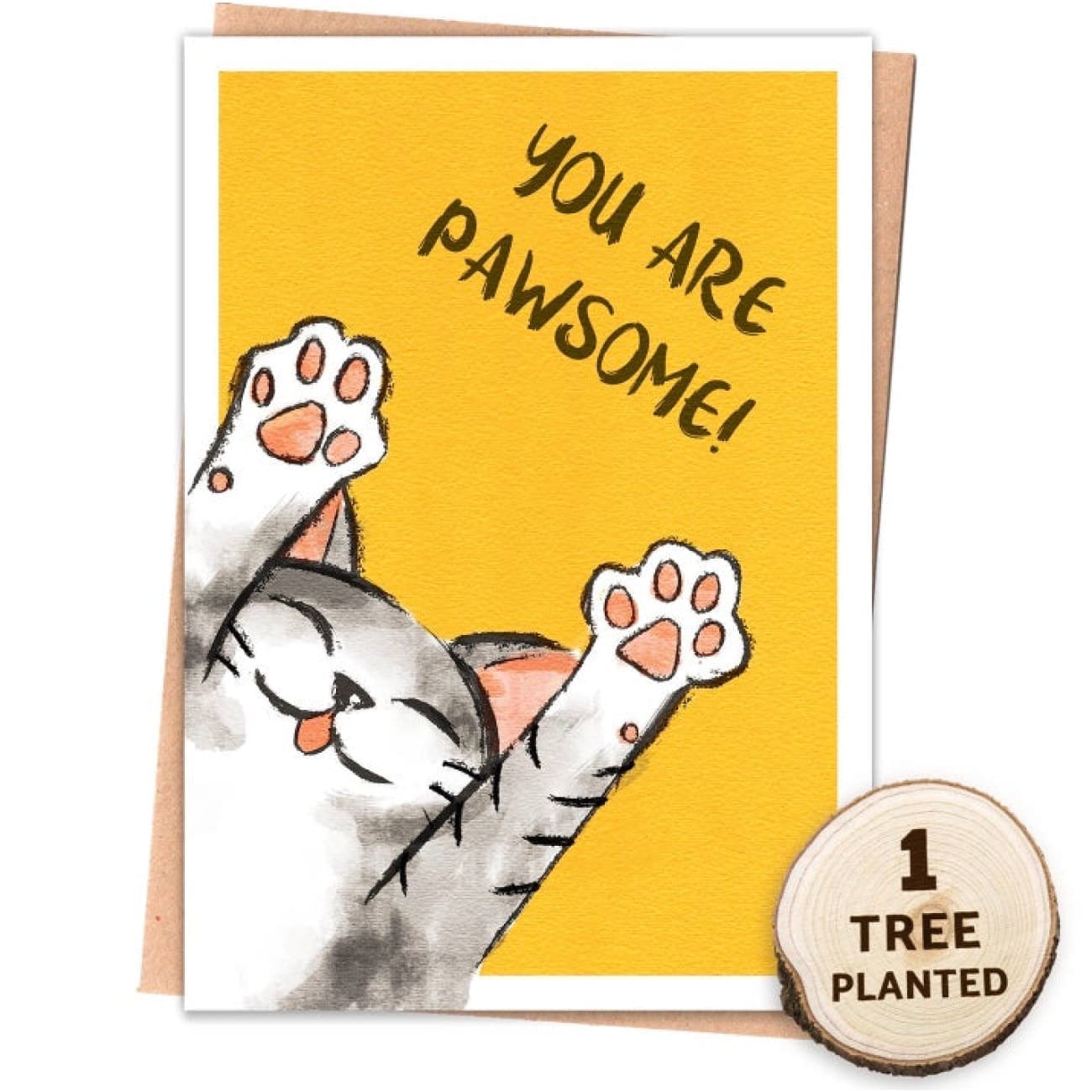 Cat Card. Feel Good Motovational. Seed & Tree Gift. Pawsome Rock Chocs 