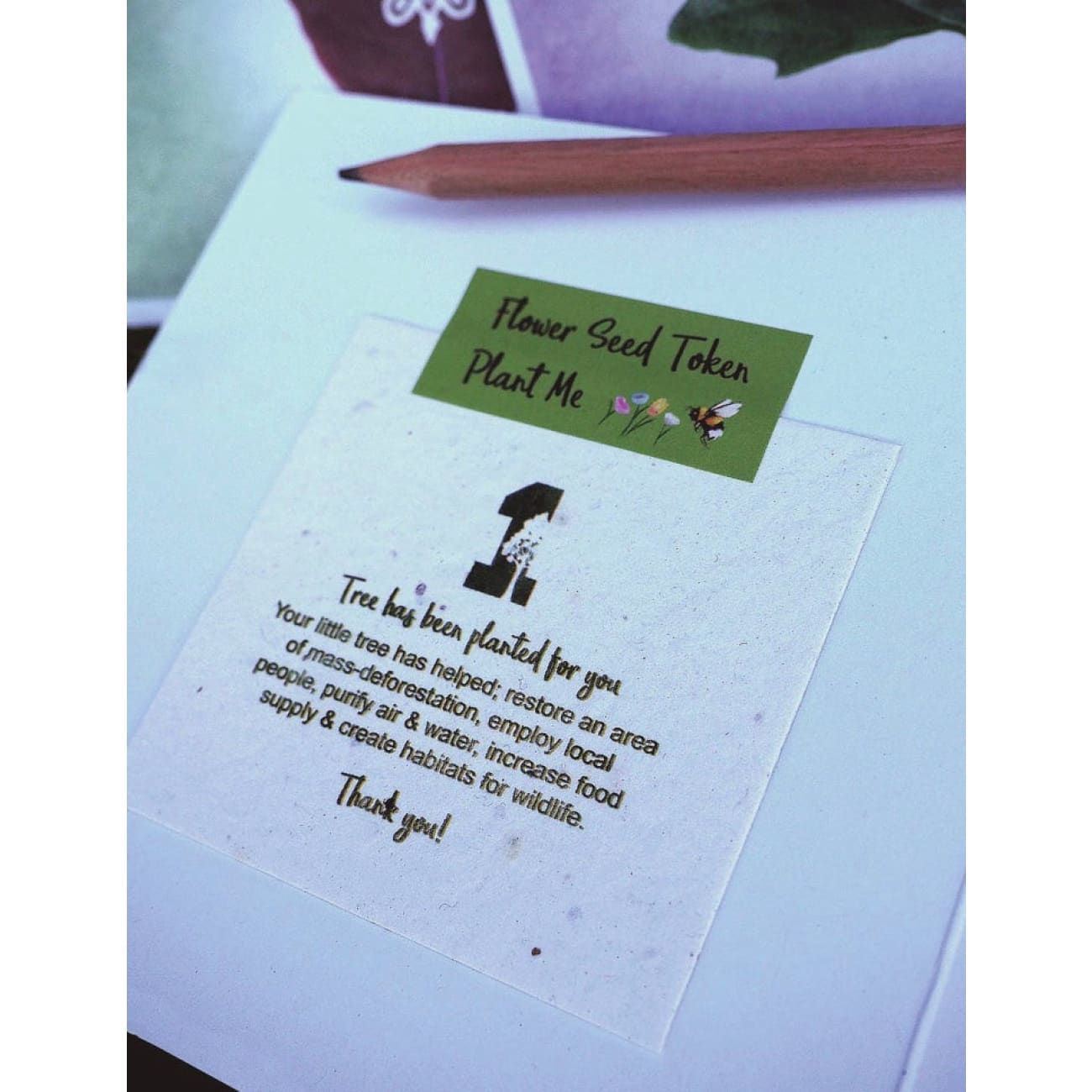 Funny Food Vegan Card Eco Friendly see tree gift. Tofu King Rock Chocs 