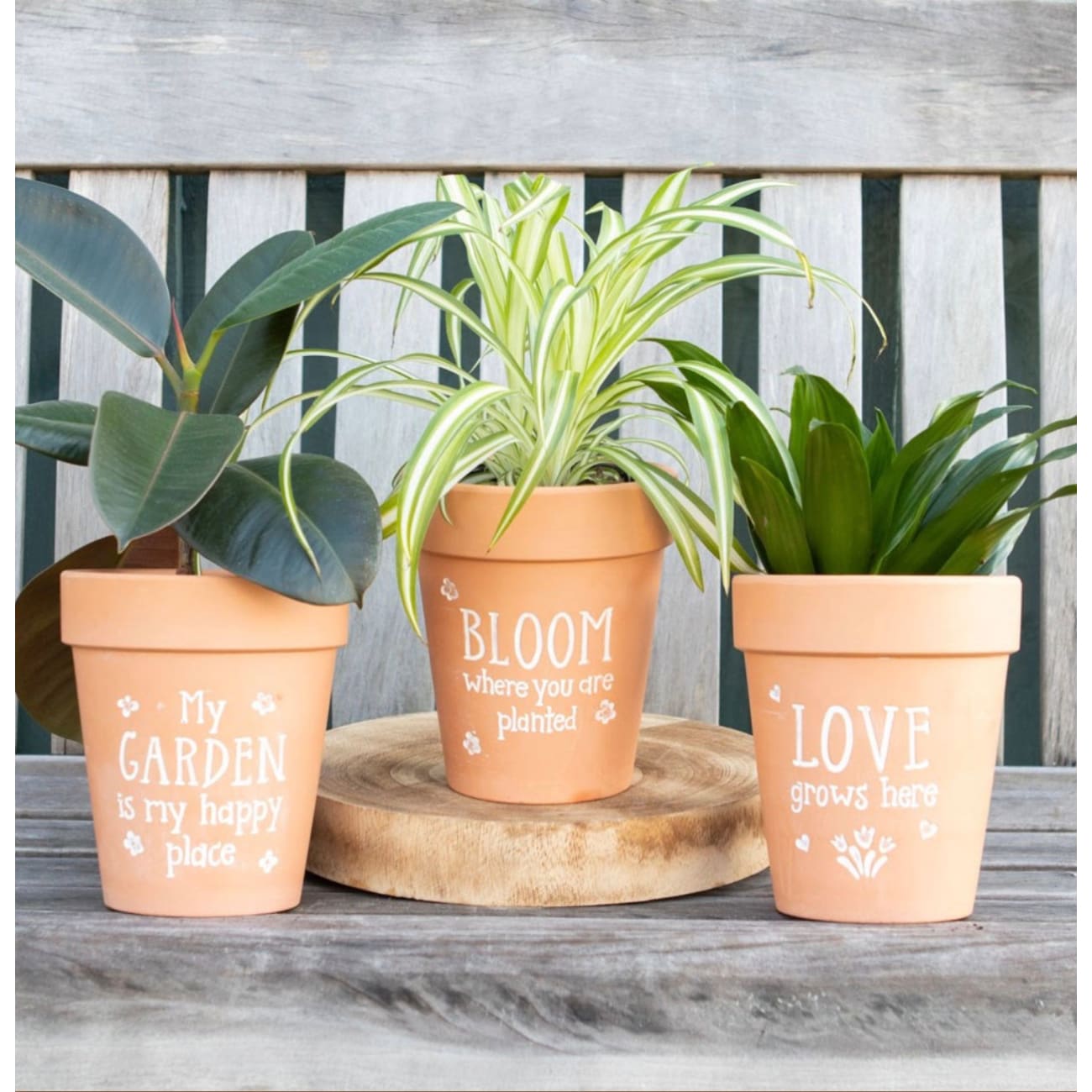 LOVE GROWS HERE TERRACOTTA PLANT POT - LOVE GROWS HERE