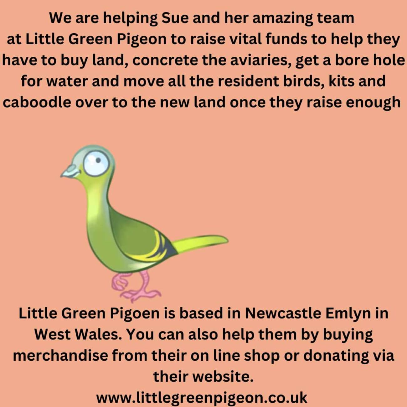 Win a pamper box raffle in aid of Little Green Pigeon - All